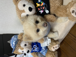 おぎゃあ