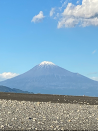 Kiku
