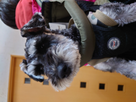 マルケードットコム