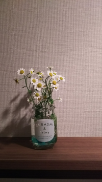 くーたん。