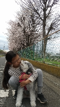 おけむ