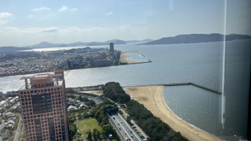 葉っぱ