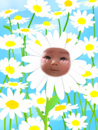 ちかにゃん