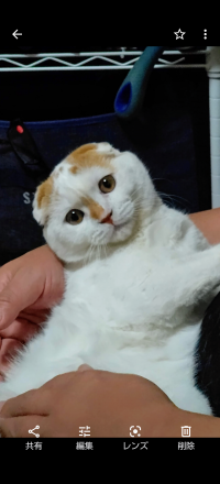 とのたまりん