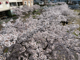 みきみー