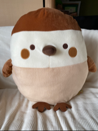 のんちゃん