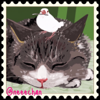 ねぇchan