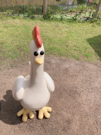 あやさん