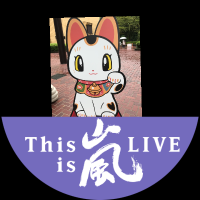 ちーねこ