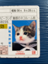 マサちゃん