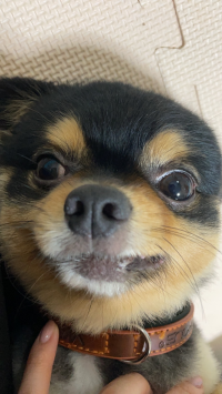 ゆう