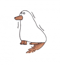 すず