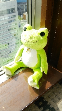 ひなたのかえる