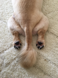 いくよ