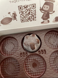 ﾅｺﾞﾐ