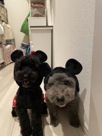 ながぴ