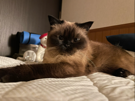 ちはる