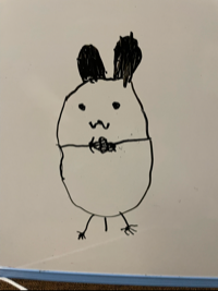 まぁゆ
