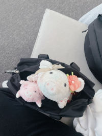 ぷたちゃん