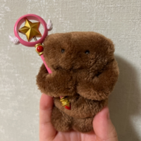 なつめ