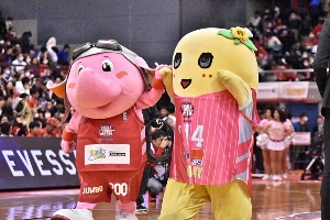 千葉象