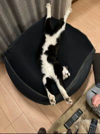 えりまる