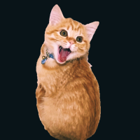 ひこなん