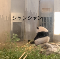 むー