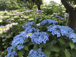 み