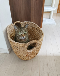 るぽふみ