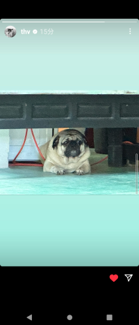 むらさきいちご
