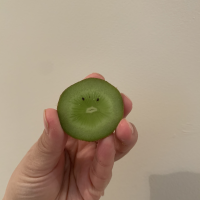 モゾリスター