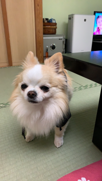 たく