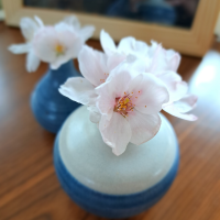小鳥