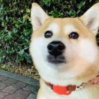 あっちゃん