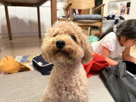 オハナ