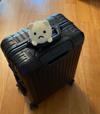 よーちん