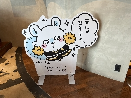 かめかめ