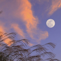 moon