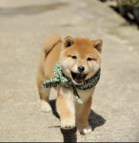 ｙｕｋａ