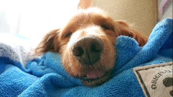 にこ。