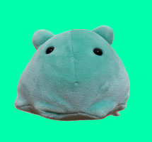 あむーる。