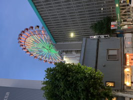 リエスケ