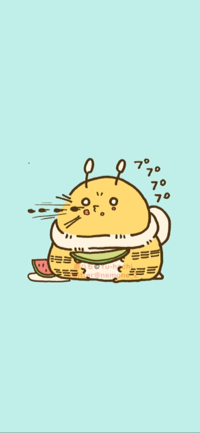 のぞみ