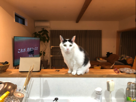 あ〜ちゃん
