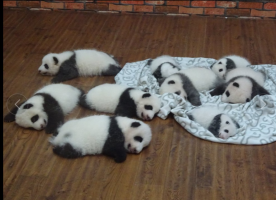 まきちゃんさん