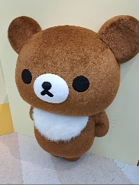 ゆるくまちゃん