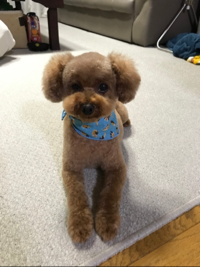 Yuta