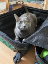 眞まる