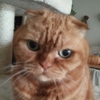 ひだまり